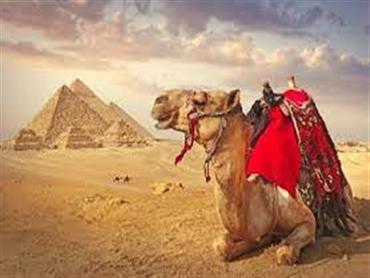 Private Half-Day Tour To Giza Pyramids And Sphinx