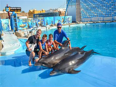 Hurghada Dolphin Show